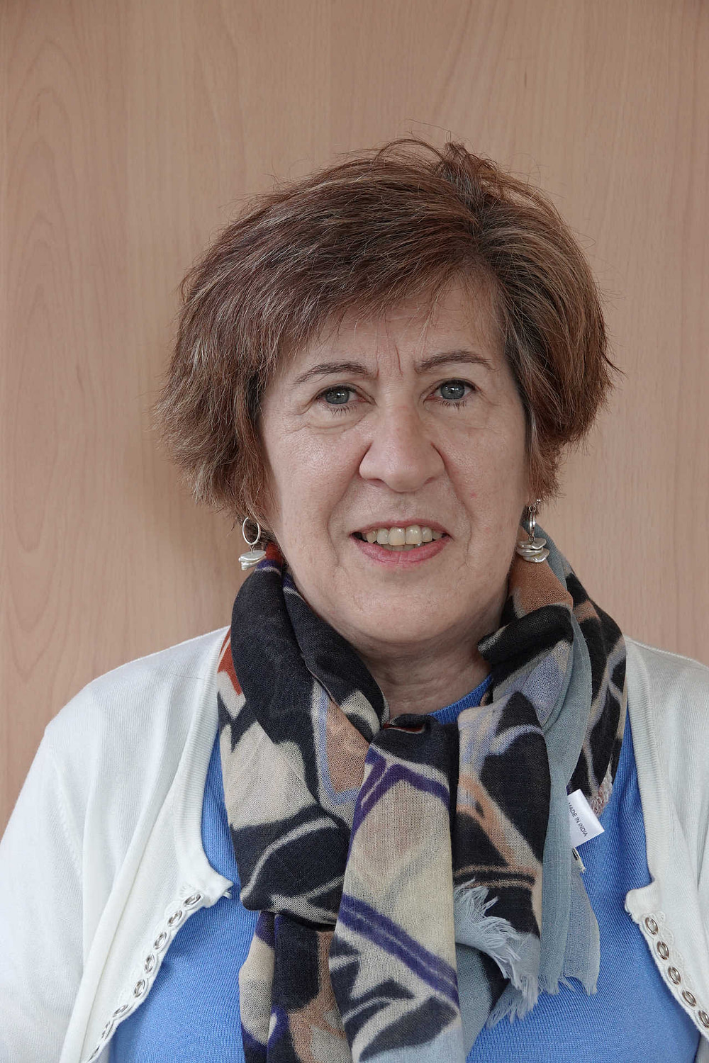 Hilde D'Haese