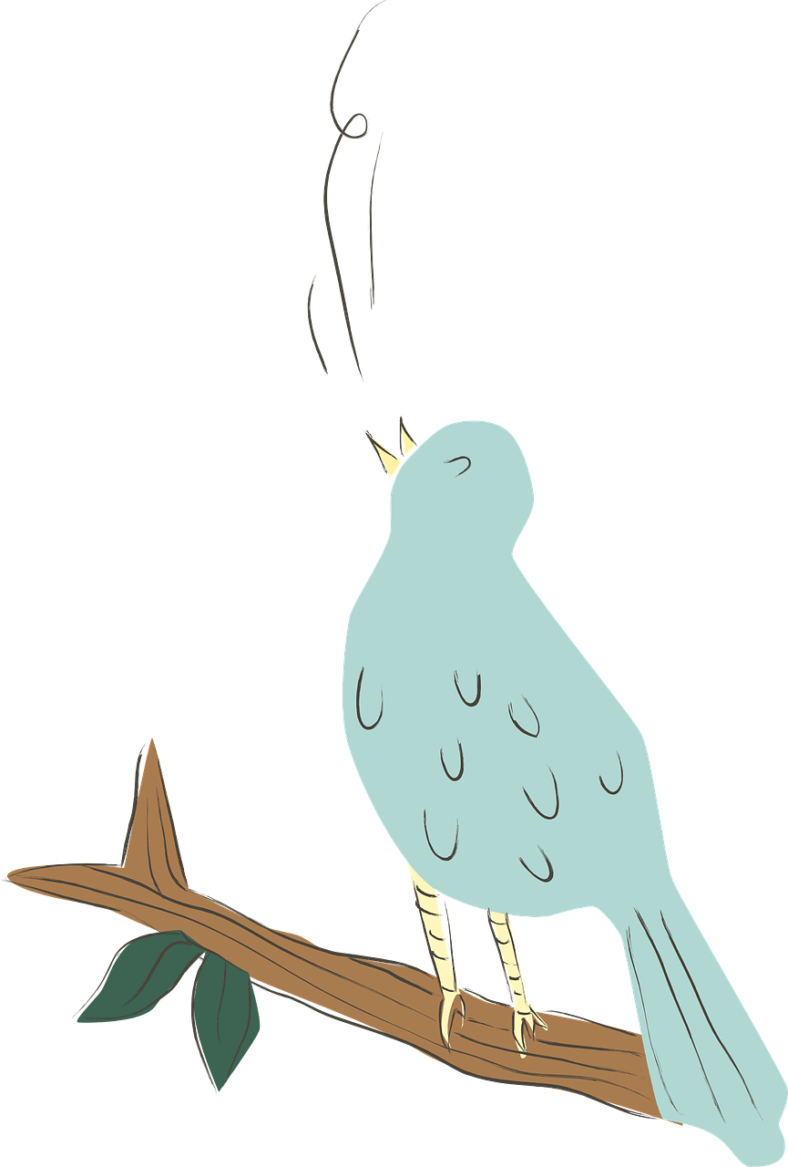 bird-g9ad8d517f_1280